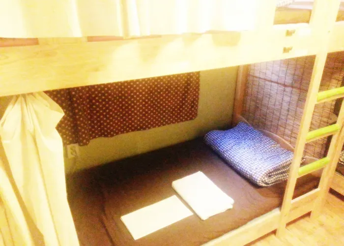 Bunk Backpackers Guest house Seoul